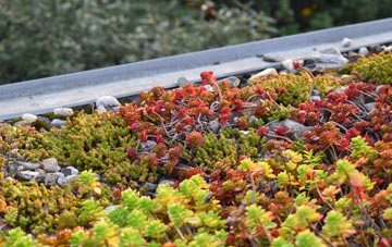 the cost of Pwllcrochan green roof installation