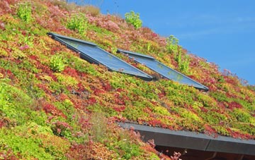 Pwllcrochan living roof systems